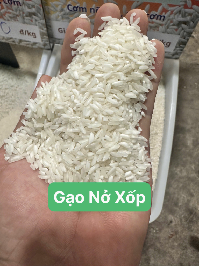 Gạo Nở Xốp