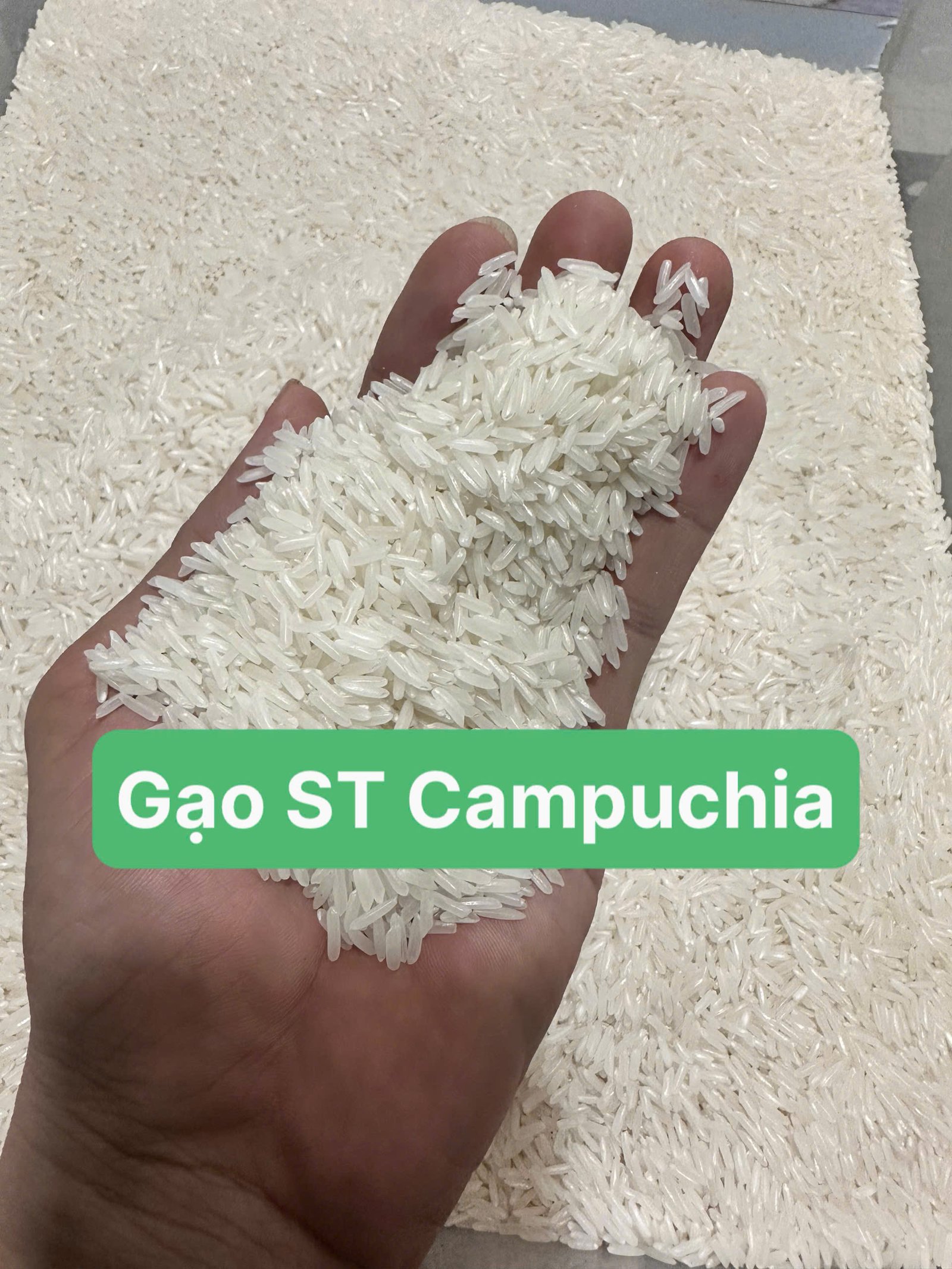 Gạo ST Miên