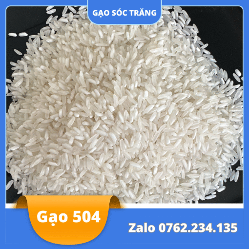 Gạo 504 Nở Xốp