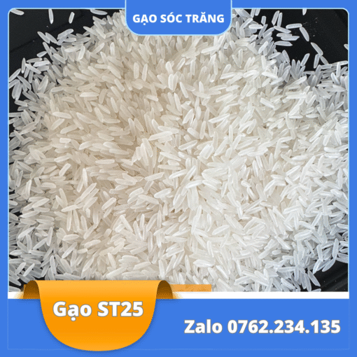 Gạo St25